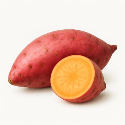 BATATA COLORADA  