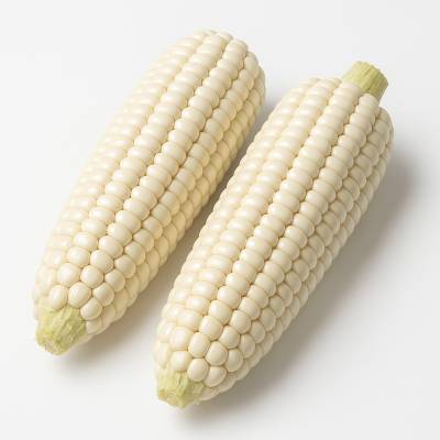 MAIZ BLANCO