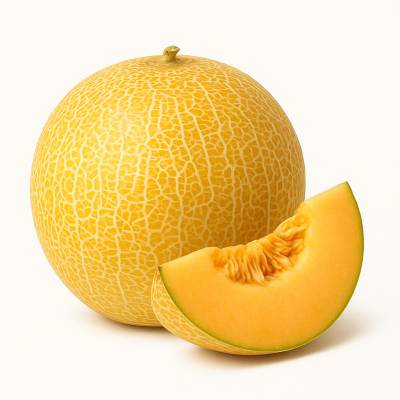 MELON COMUN
